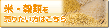 āEނ𔄂肽͂