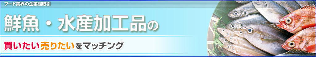 N̔肽}b`O@t[hƊE̊ƊԎ