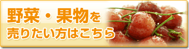 ؁Eʕ𔄂肽͂