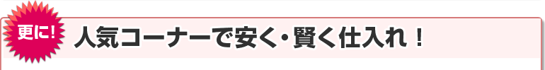 XɁIlCR[i[ňEdI